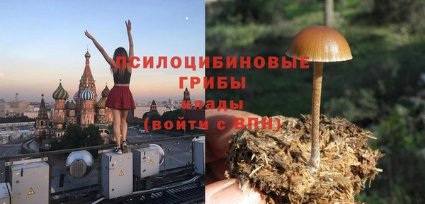 2c-b Медвежьегорск
