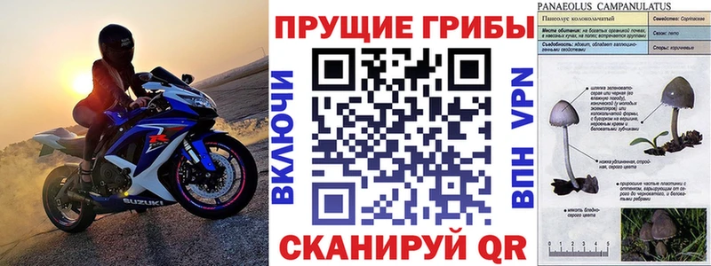 Псилоцибиновые грибы MAGIC MUSHROOMS Александровское